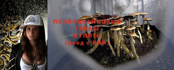 дурь Волоколамск