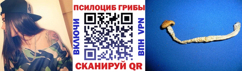 где продают наркотики  Липецк  Псилоцибиновые грибы прущие грибы 